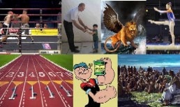 Timothy לימודי תנ' ך